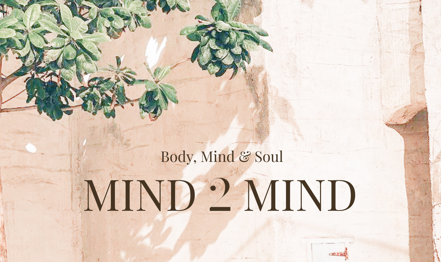 Mind2Mind logo with tree in front of natural building in Dubai in the background